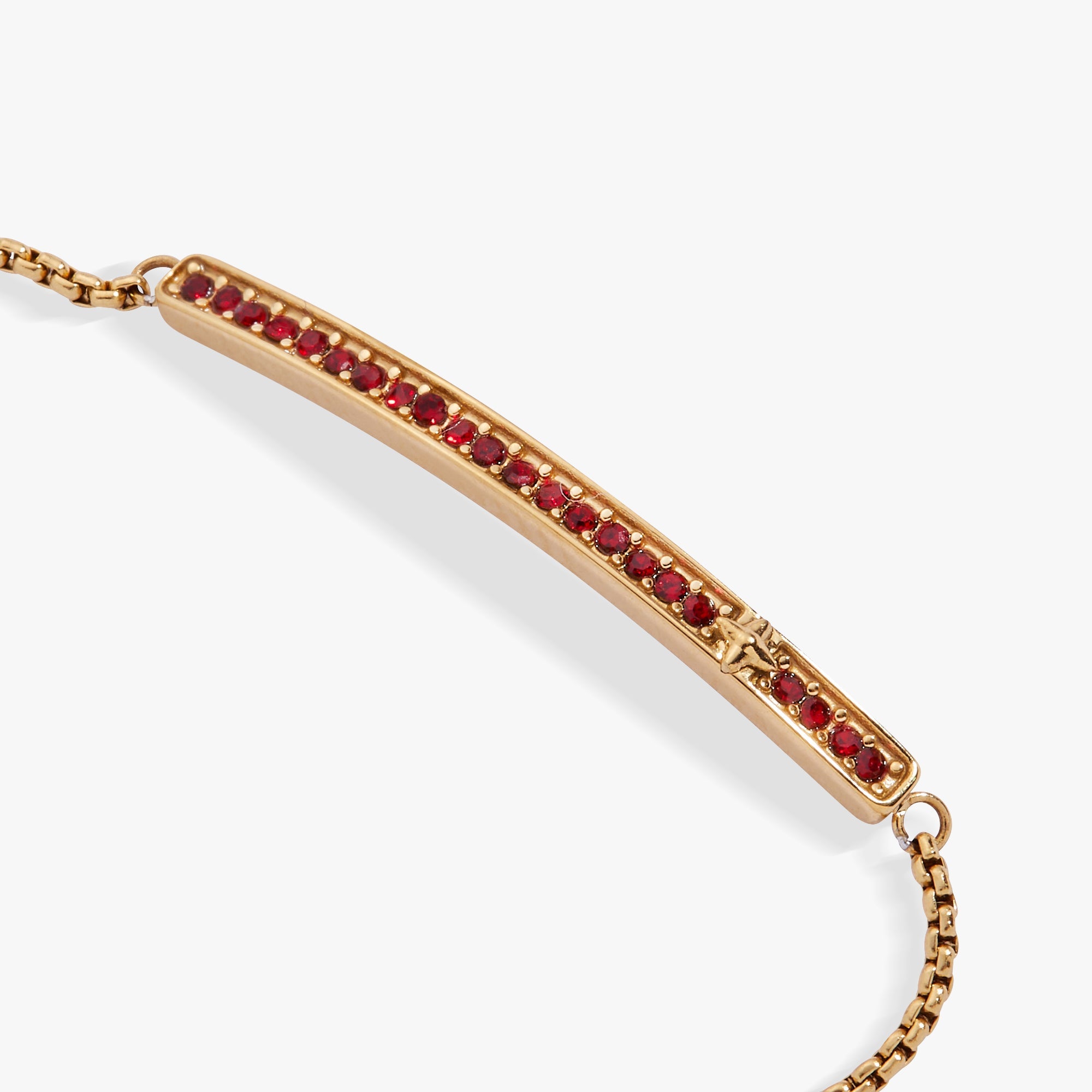 January Everyday Birthstone Pave Bolo Bracelet